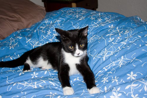 Misha_2008-08-30_IMG_1600